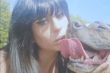 Mort d'Elisa Pilarksi : son pitbull Curtis 