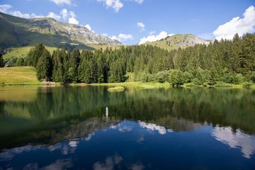 Un enfant en colonie de vacances se noie dans un lac en Haute-Savoie