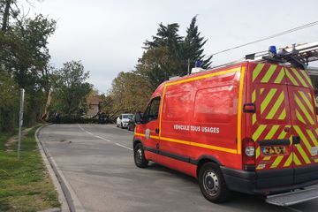 Un étudiant de la prestigieuse ESSEC agresse son colocataire à coups de tronçonneuse