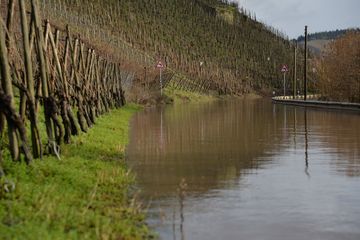 Un tronc humain découvert dans la Moselle à Thionville