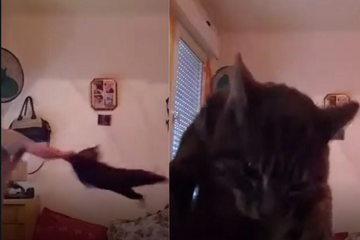 Une vidéo 