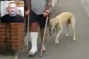 Billy, le chien qui voulait boiter comme son maître