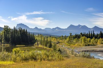 Dans le Montana, un chasseur photographie un «alien nu»
