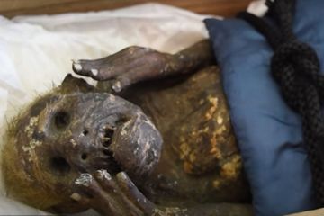 Le mystère de la sirène d'Asakuchi