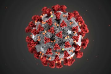 Coronavirus : 10 000 volontaires recrutés par l'université d'Oxford pour un vaccin