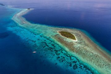 Deux pêcheurs retrouvés après 42 jours dans le Pacifique