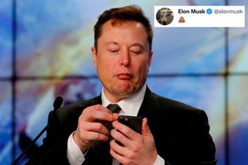 Faux comptes et emoji crotte : le rachat de Twitter par Elon Musk toujours en suspens