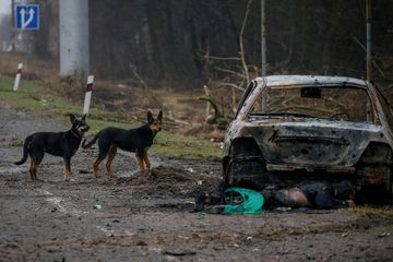 Guerre en Ukraine : Onze maires et dirigeants locaux «enlevés» par les Russes