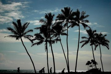 Ils tentent le pot-de-vin pour éviter leur quarantaine en arrivant à Hawaï