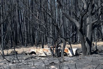 Incendies en Australie : le désastre de Kangaroo Island