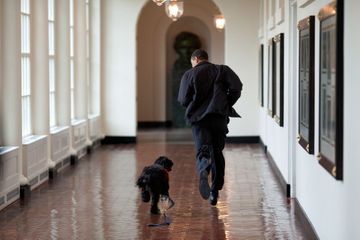 Joe Biden a gagné, mais c'est Obama qui triomphe avec ses mémoires