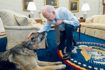 Joe Biden, le bilan des cent premiers jours