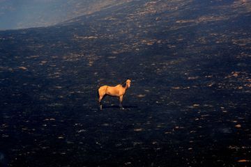 L'enfer se poursuit en Californie, dévastée par les flammes