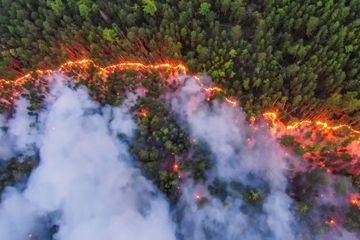 La forêt sibérienne ravagée par les flammes