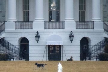 Les chiens de Joe et Jill Biden renvoyés dans le Delaware après une morsure