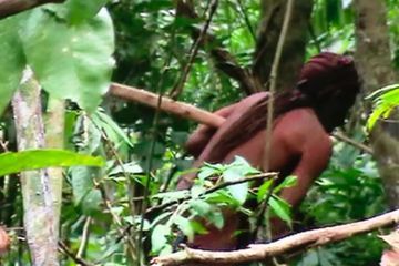 Mort de l'«Indien Tanaru», dernier survivant d'une petite tribu d'Amazonie