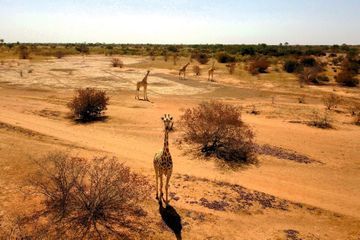 Niger : Terreur dans la savane