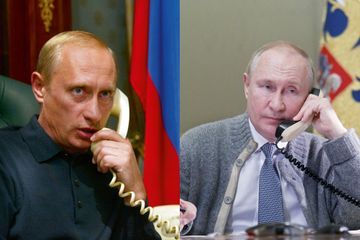 Poutine malade : rumeur ou tumeur ?
