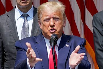 Trump s'en prend à un manifestant violenté par la police