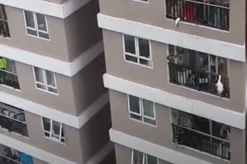 Un livreur sauve miraculeusement une fillette après une chute de 12 étages