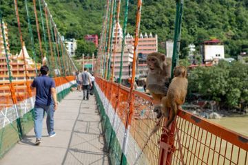 Une Française interpellée après une vidéo dénudée sur un pont sacré en Inde