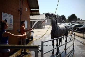 Coronavirus : un soutien financier pour centres équestres et poneys clubs