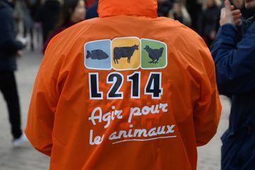 Remaniement : Déceptions face à l'absence de secrétaire d'Etat à la cause animale