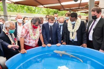 Emmanuel Macron au chevet des requins et des coraux à Moorea