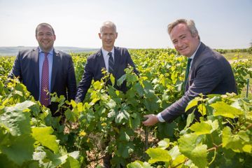 Gomez, Riester et Lemoyne au chevet du Chablis