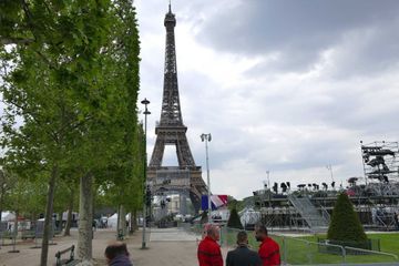Les écologistes appellent Hidalgo à «préserver tous les arbres» de Paris