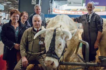 Les espoirs déçus des agriculteurs retraités