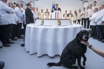 Macron partage des photos de Nemo pour mobiliser contre l'abandon des animaux