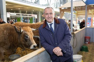 Le gouvernement empêtré dans les municipales à Biarritz