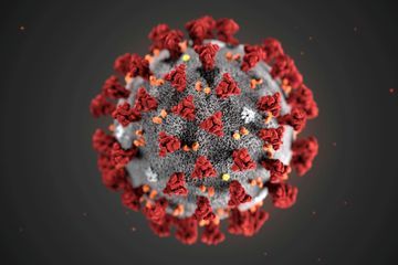 Coronavirus : ce qu'on sait et ce qu'on ignore encore sur l'épidémie