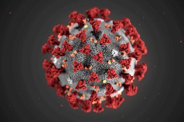 Coronavirus : Luc Montagnier critiqué pour sa théorie d'un virus fabriqué par erreur
