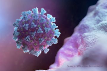 Coronavirus : un foyer dans le Val-d'Oise