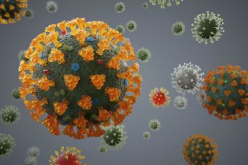 Covid-19 : quelle immunité espérer ?