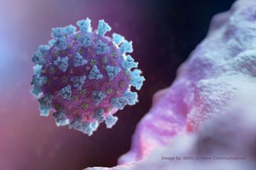 Covid-19: Santé publique France redoute que la circulation du virus de Covid-19 reparte à la hausse