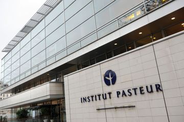 Symptômes, contagiosité, tests sérologiques : les avancées de l'Institut Pasteur sur le coronavirus