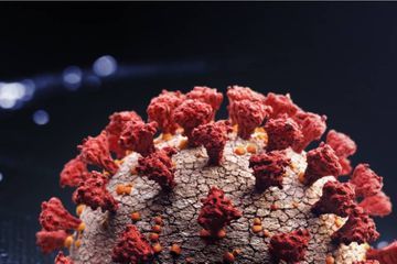 Traitement Covid-19 : une avancée significative avec le nitazoxanide