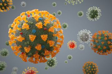 Vaccin contre la Covid-19 : le top 4 des études