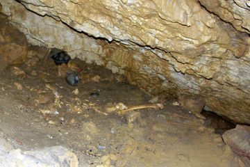Découverte de restes humains datant de l'âge du Bronze dans une grotte en Charente