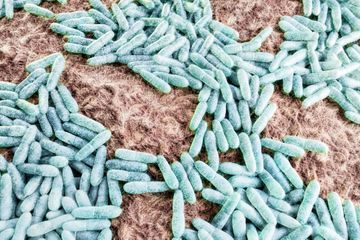 Des scientifiques redonnent vie à des microbes ancestraux