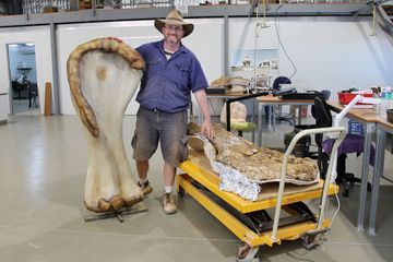 Ils ont découvert les restes d'un des plus grands dinosaures de l'histoire