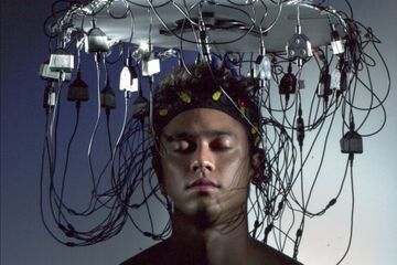 Neurosciences : quand le cerveau fait son show