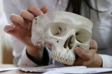 Une dent humaine vieille de 70.000 ans découverte en Haute-Garonne