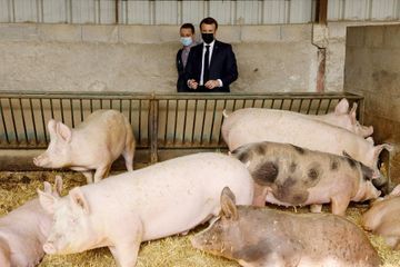 Des mesures présidentielles pour les animaux