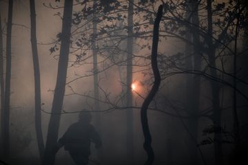 Gironde : un incendie ravage 250 hectares