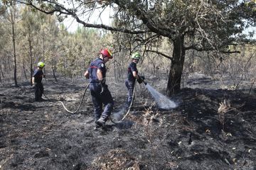 Incendies en Ardèche: un suspect placé en garde à vue a reconnu les faits