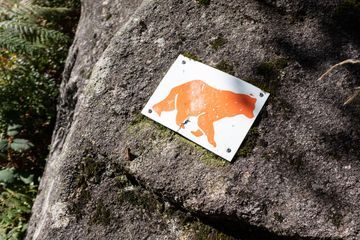 Les pro-ours mobilisés après un 